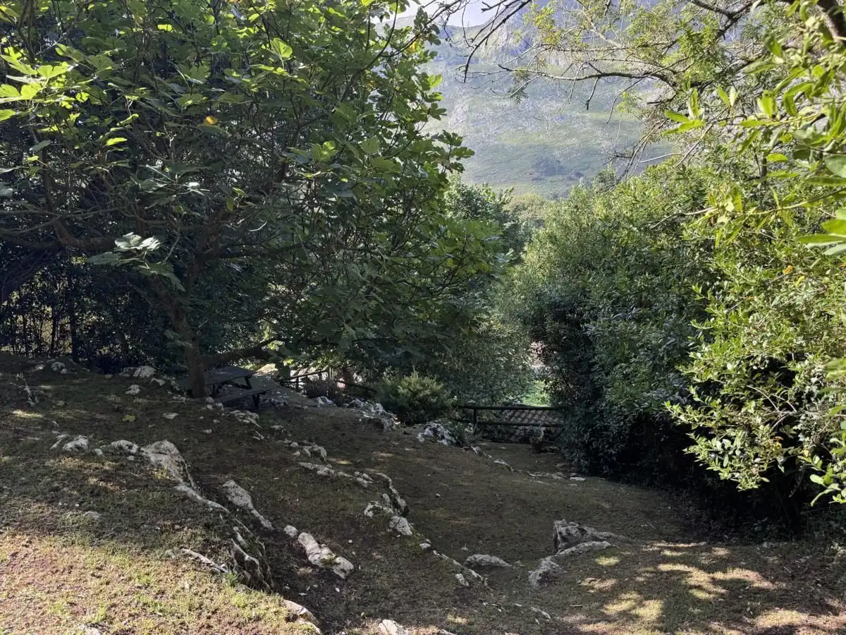 Garden of Detached homes for sale in Llanes  with Heating, Private garden and Terrace