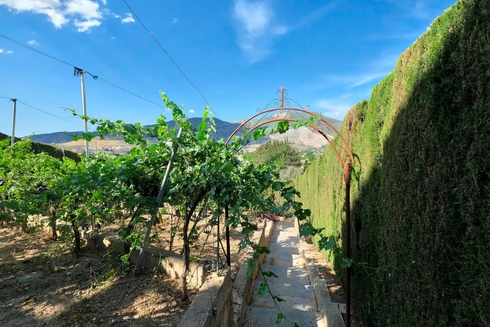 Xalet en venda a Padul, imagen 23