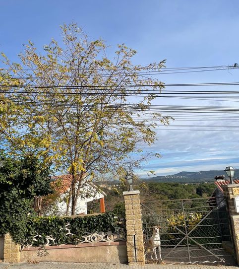 Foto 2 de Casa o chalet en venta en Fogars de la Selva, Barcelona
