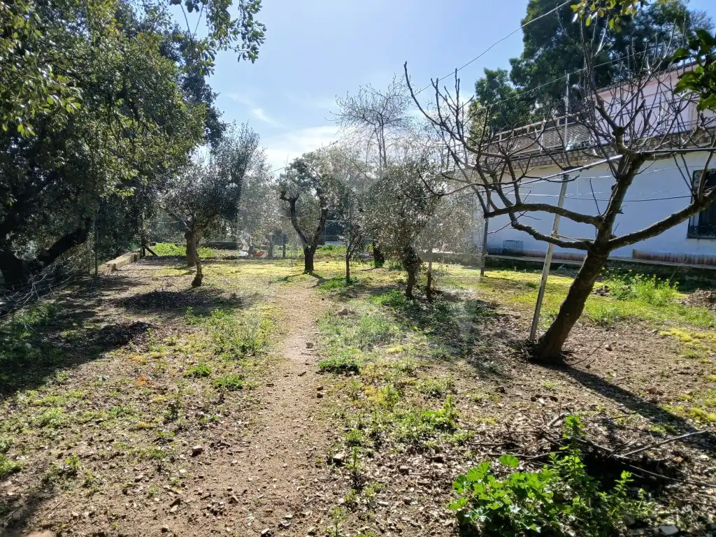 Casa o xalet en venda en Cáceres amb Aire condicionat, Terrassa i Piscina