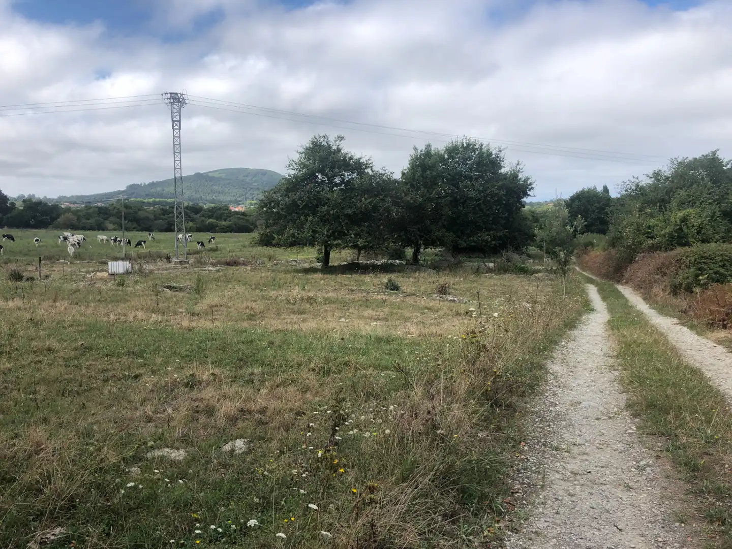 Terreno en venta en Arnuero