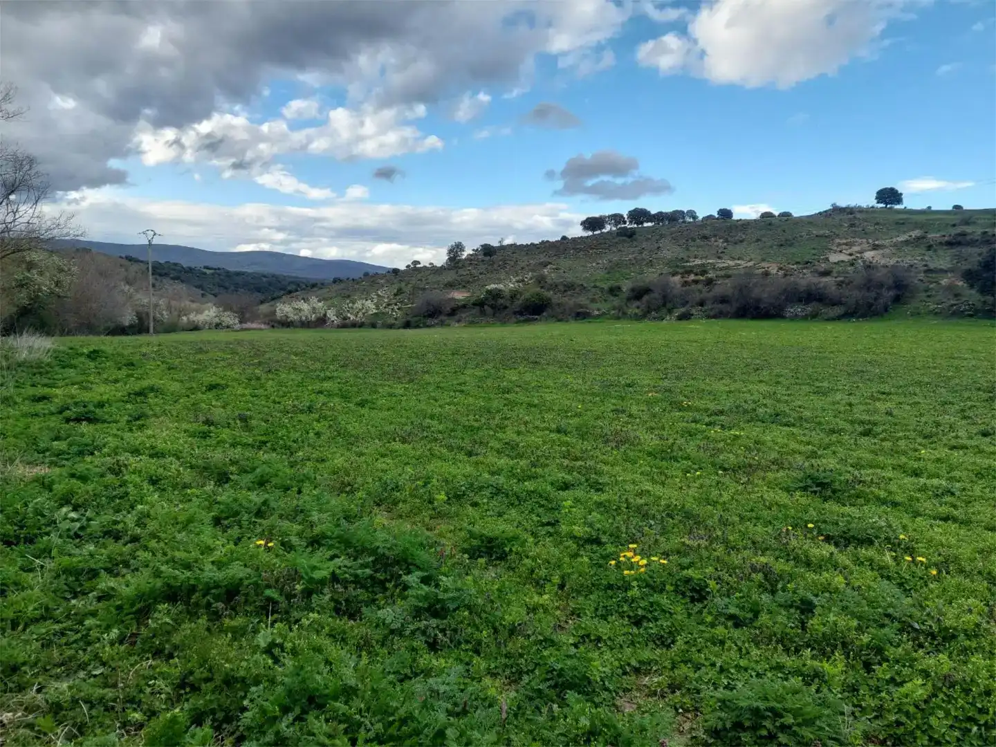 Terreno en venta en Suellacabras