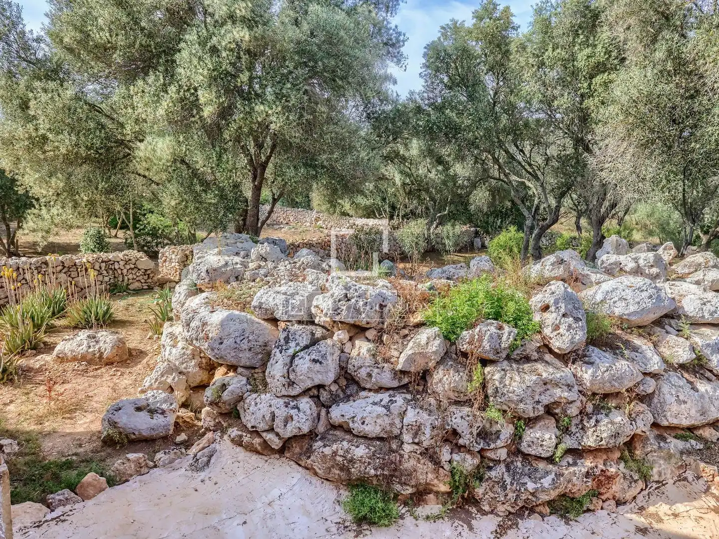 Casa rústica amb piscina en venda a Llucmajor pueblo, imagen 46