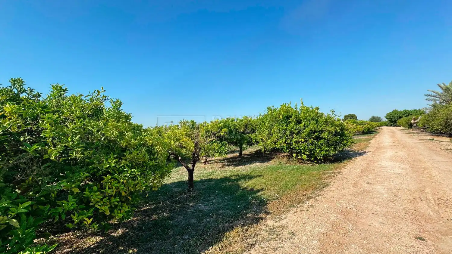 Finca rústica en venda en Redován