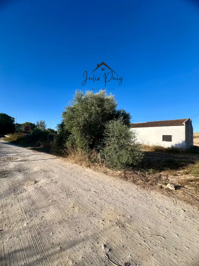 Terrenys i solars en venda a Coria del Río, imagen 3