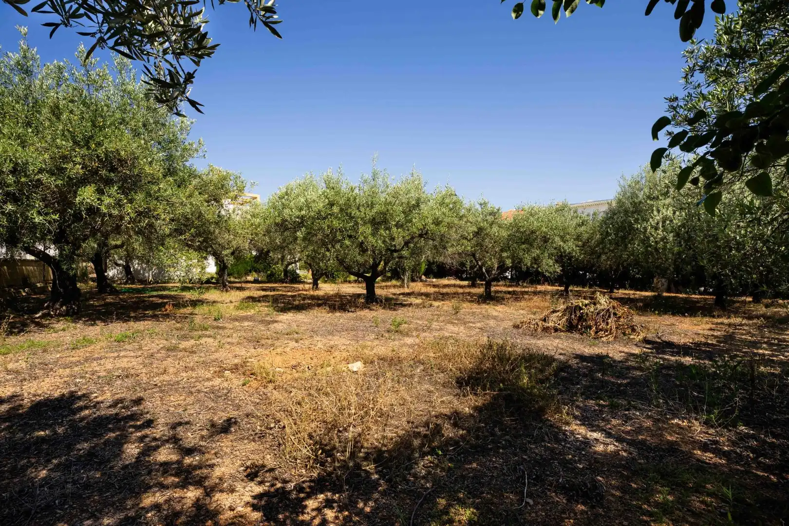 Houses for sale in Alcalà de Xivert  with Private garden, Terrace and Swimming Pool