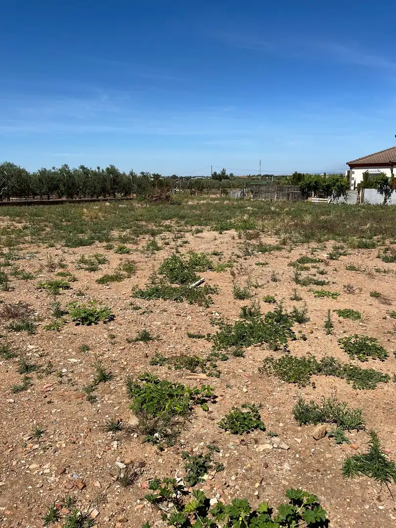 Terreny residencial en venda a La Carlota, imagen 3