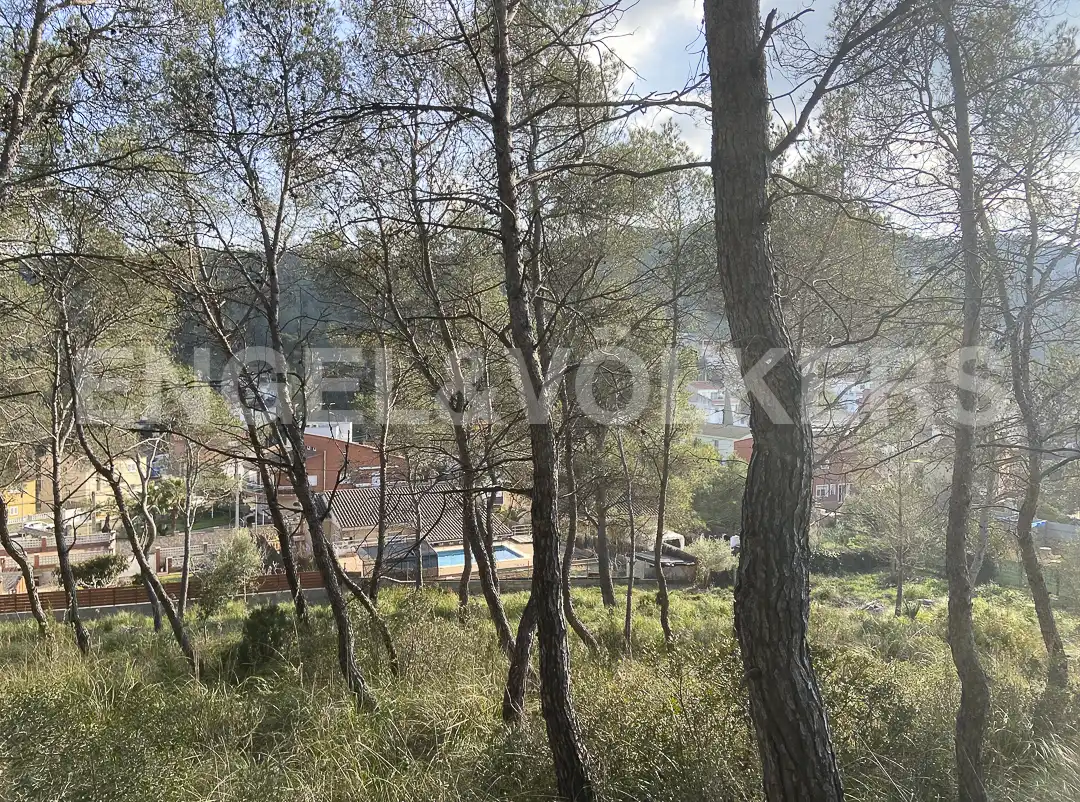 Terreno residencial en venta en Canyelles, imagen 5
