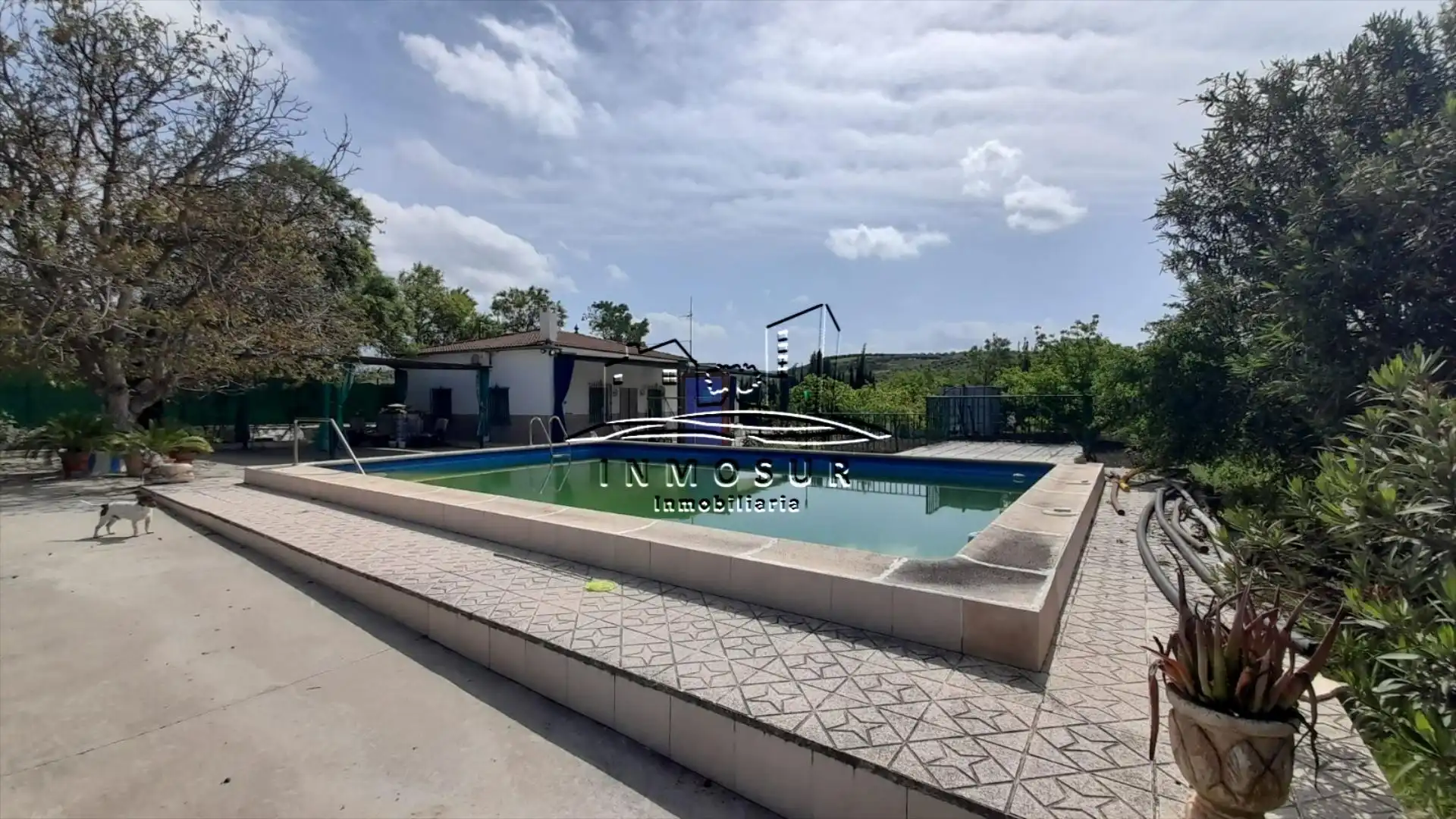 Piscina de Casa o chalet en venta en Lucena con Trastero y Piscina