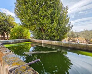 Piscina de Casa o xalet en venda en Cúllar amb Calefacció, Jardí privat i Traster