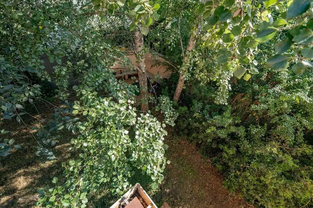 Jardín de Casa o chalet en venta en Cáceres con Calefacción, Jardín privado y Parquet