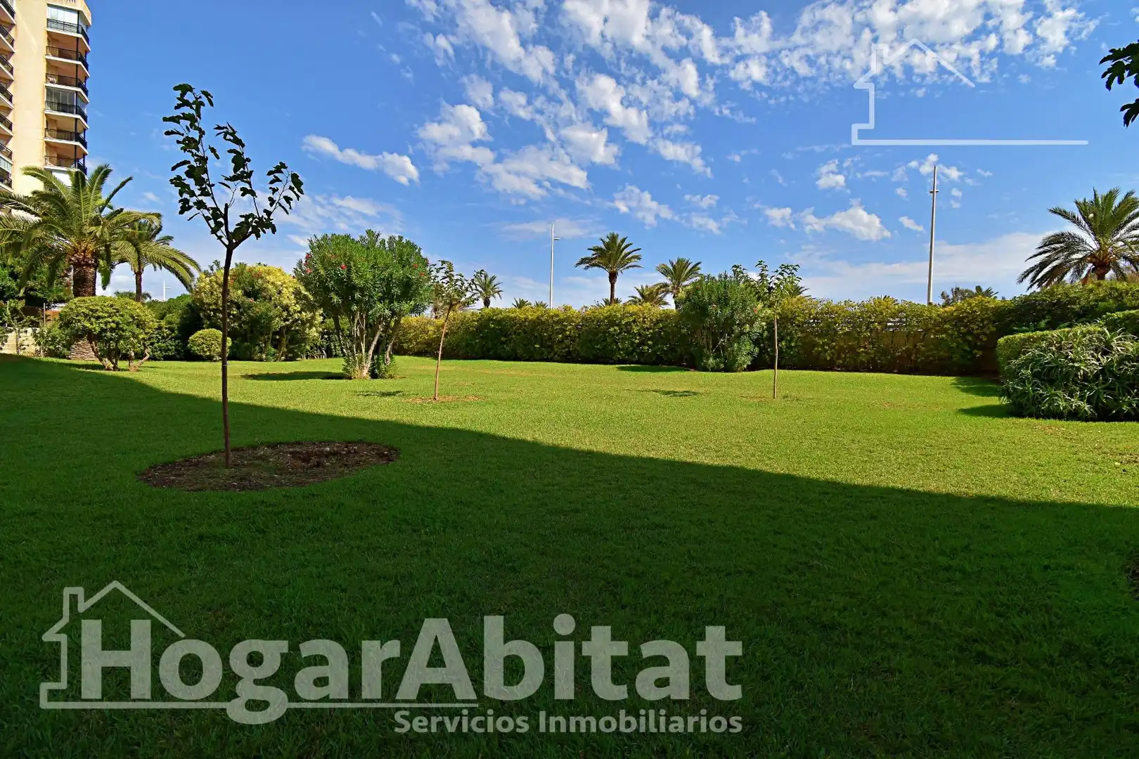 Appartamento con terrazza in vendita a Avenida Norte, imagen 5