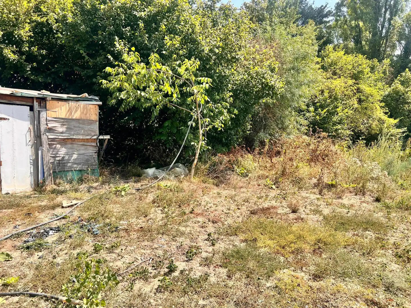 Terreno rústico en venta en Urroz-Villa, imagen 6