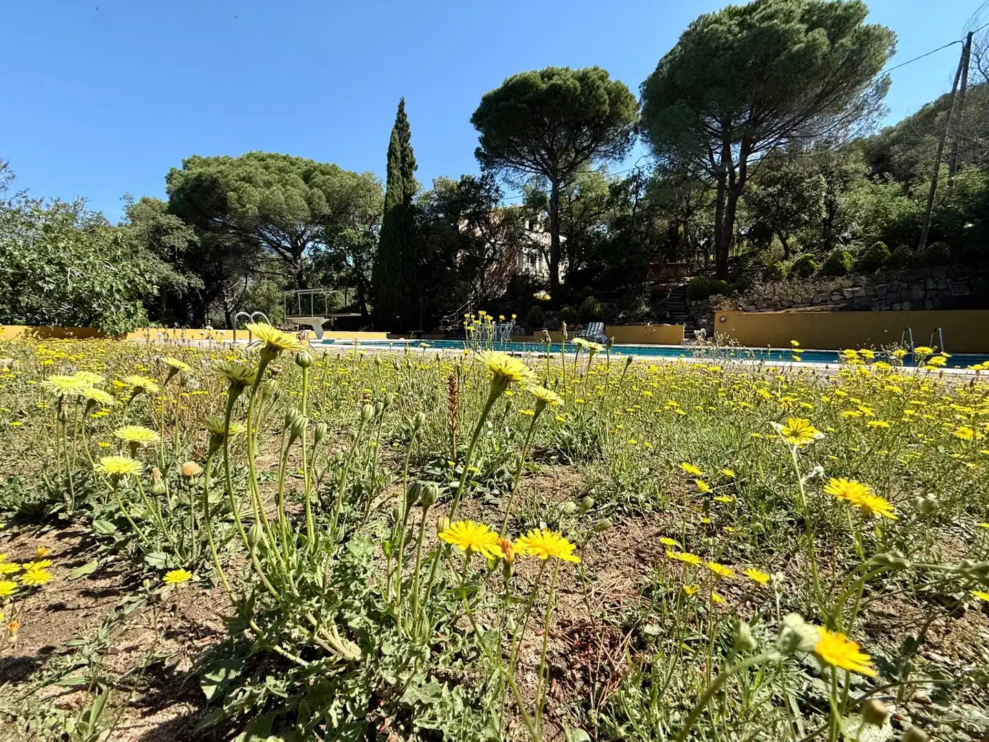 Jardín de Finca rústica en venta en Castell d'Aro, Platja d'Aro i s'Agaró con Aire acondicionado, Calefacción y Jardín privado