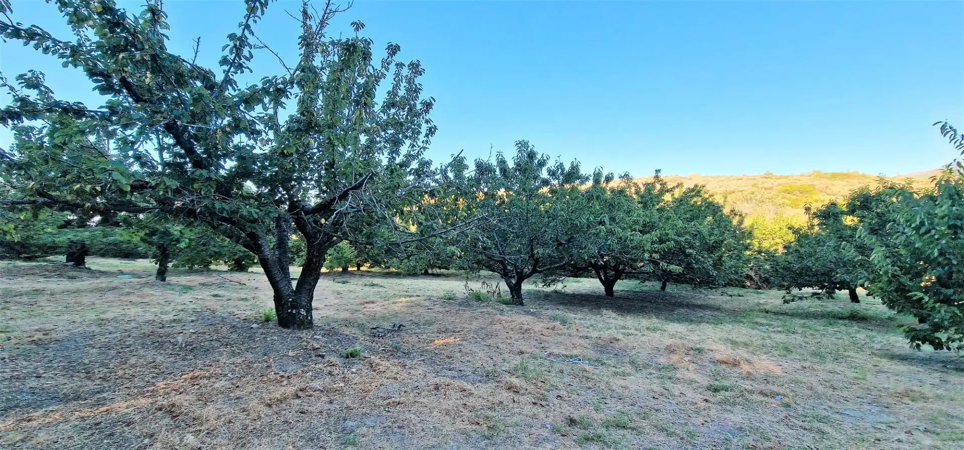 Terreni e lotti in vendita a Aldeanueva de la Vera, imagen 7