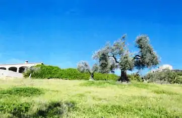 Casa o chalet en venta en Herrera del Duque con Trastero y Piscina