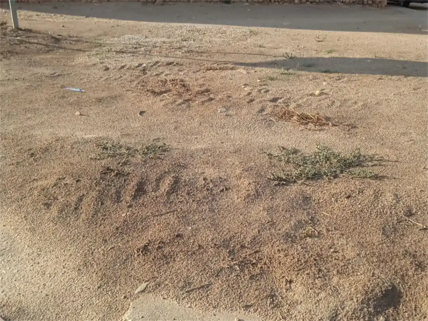 Terreno en venta en Málaga del Fresno, Guadalajara