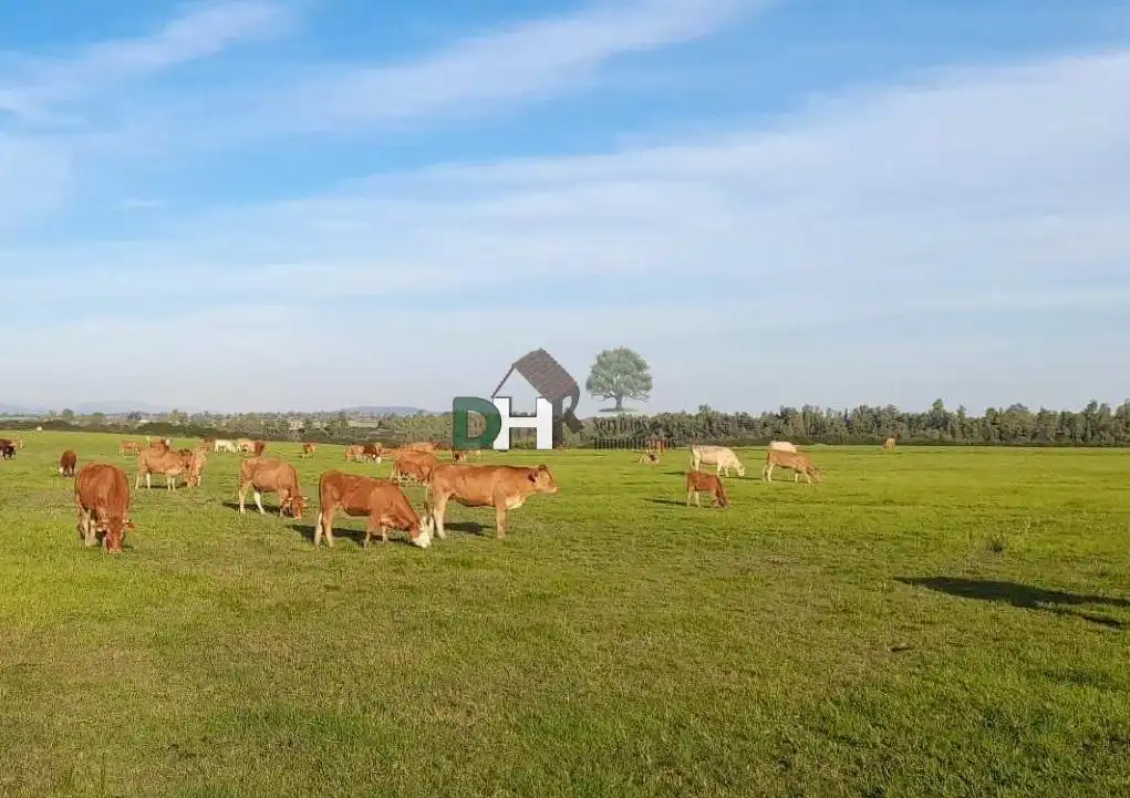 Terreni e lotti in vendita a Ruta de la Plata