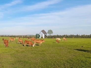 Terreni e lotti in vendita a Ruta de la Plata