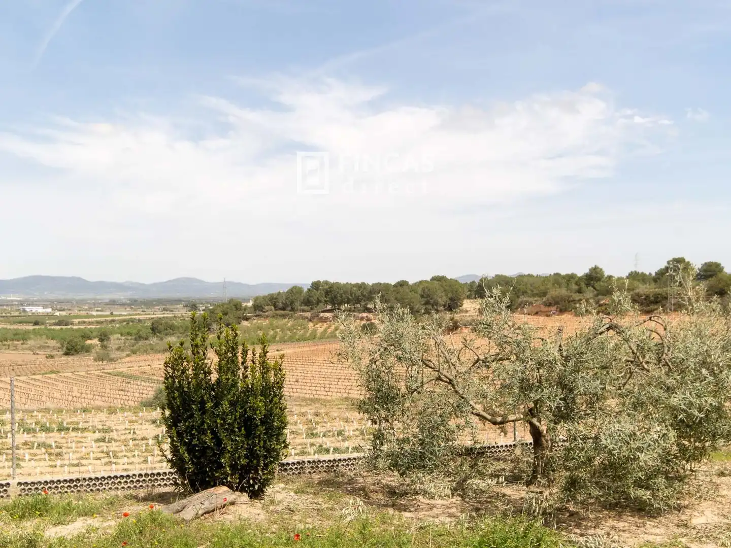 Casa o chalet en venta en Puigpelat con Amueblado y Balcón