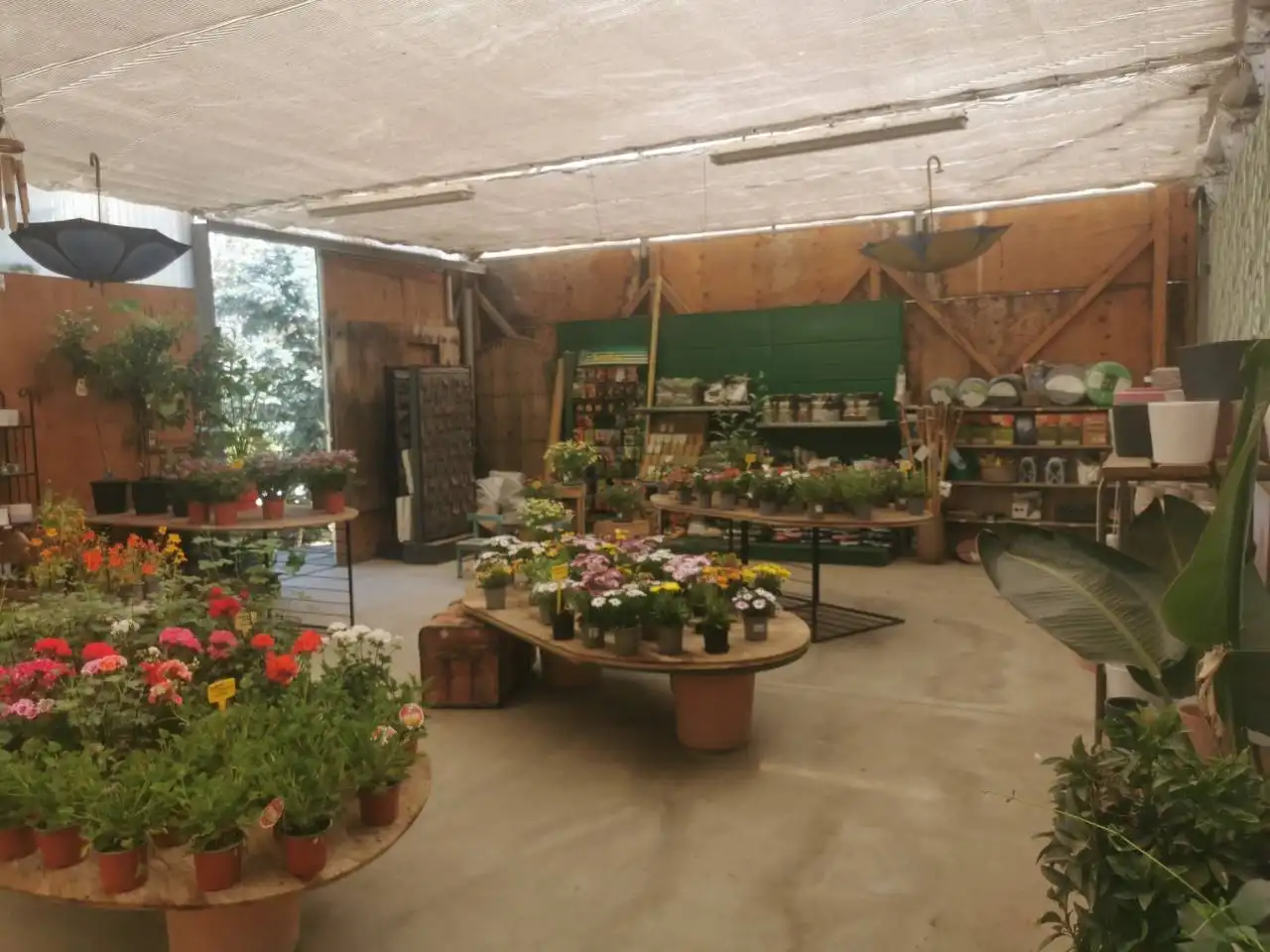 Local comercial en alquiler en Avenida Madrid 60, imagen 9