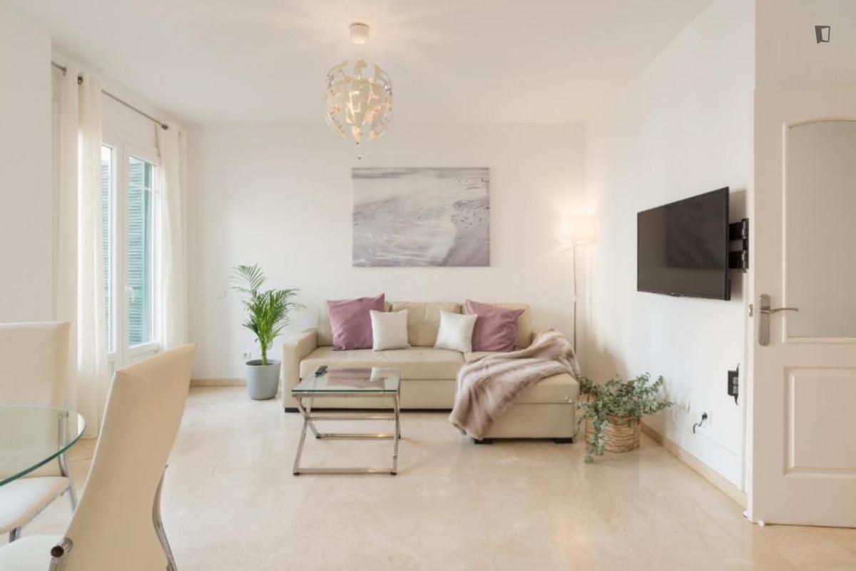 Sala d'estar de Apartament de lloguer en Málaga Capital amb Aire condicionat, Calefacció i Moblat