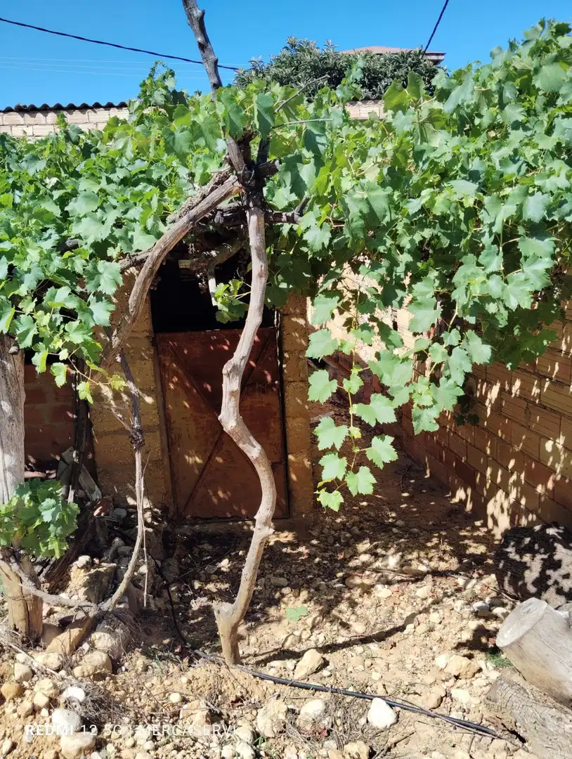 Jardín de Casa o chalet en venta en Les Coves de Vinromà con Terraza