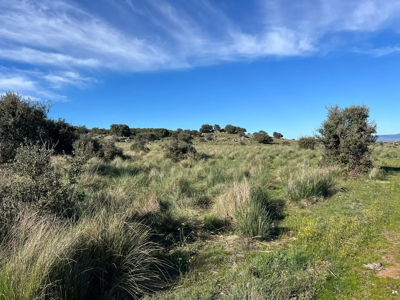 Terreni e lotti in vendita a Tornadizos de Ávila, imagen 31