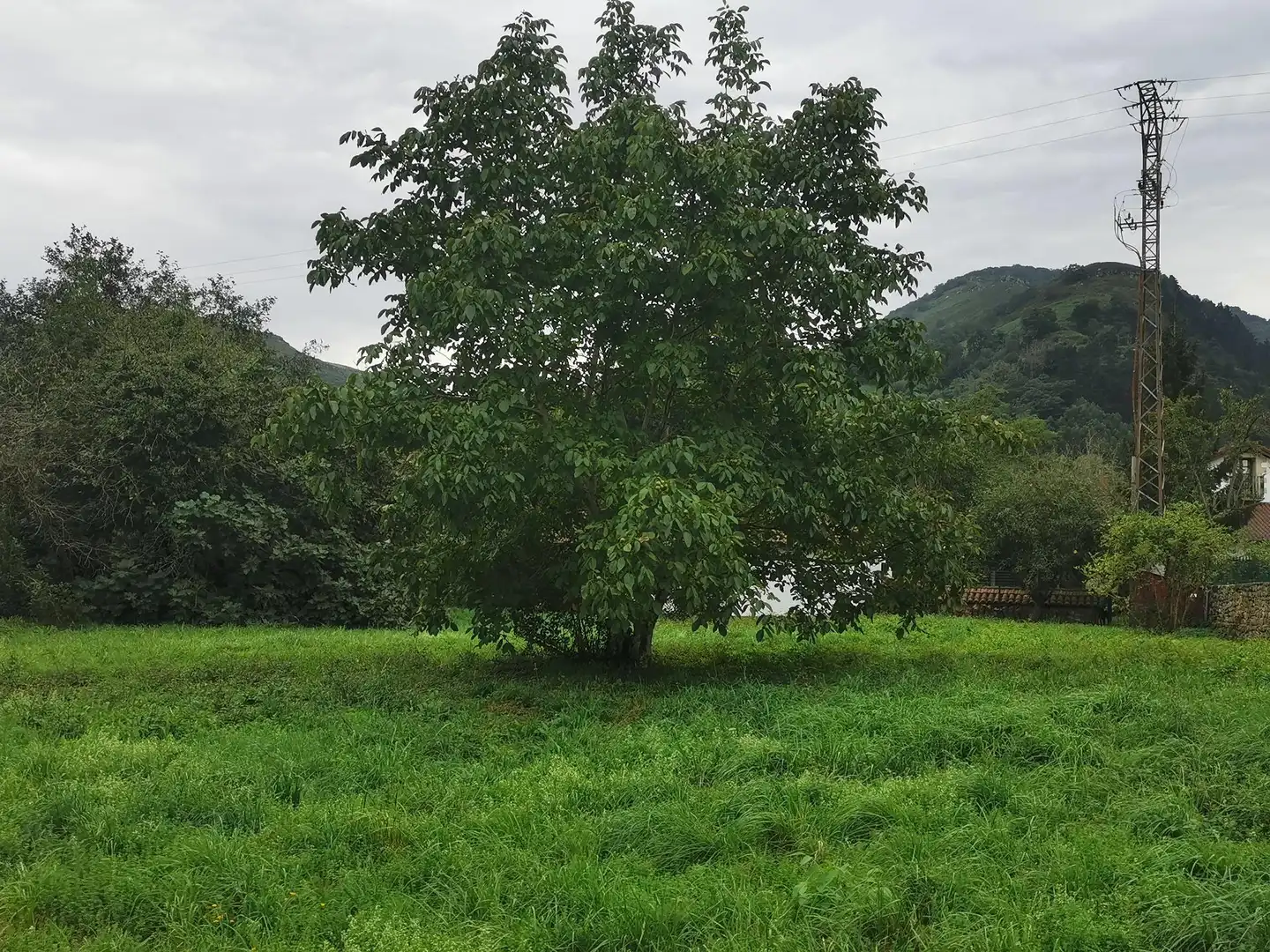 Terreni e lotti in vendita a Los Corrales de Buelna, imagen 6