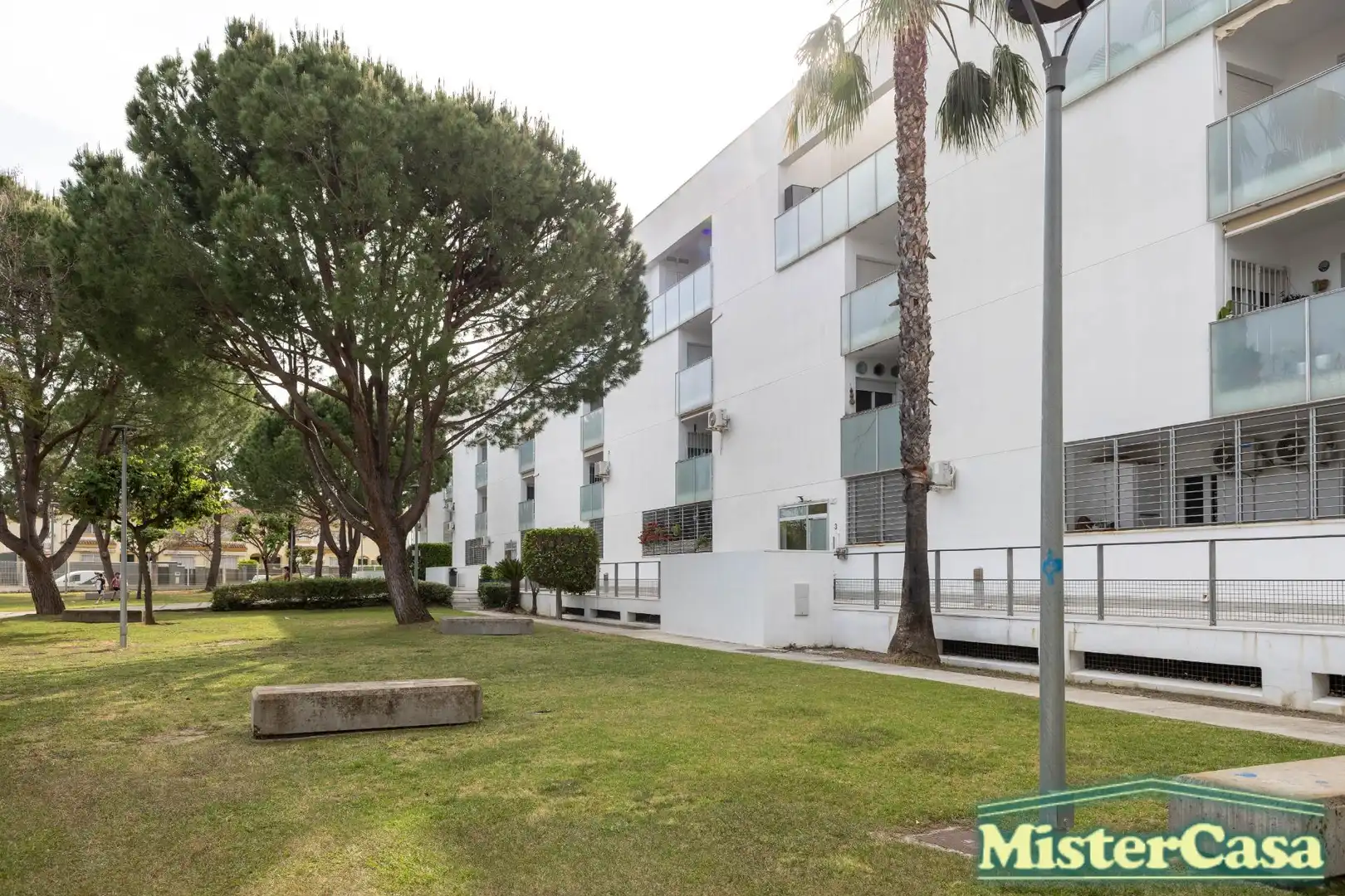 Exterior view of Attic for sale in Jerez de la Frontera  with Private garden and Terrace