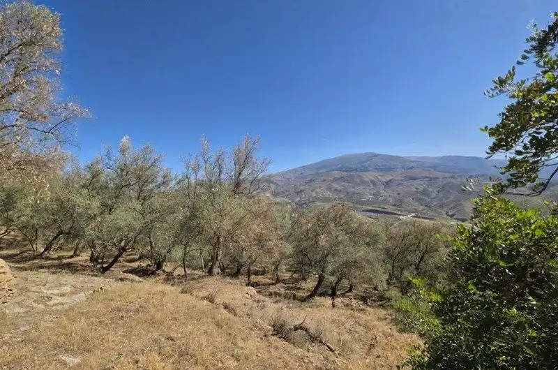 Terreno rustico in vendita a El Pinar, imagen 31