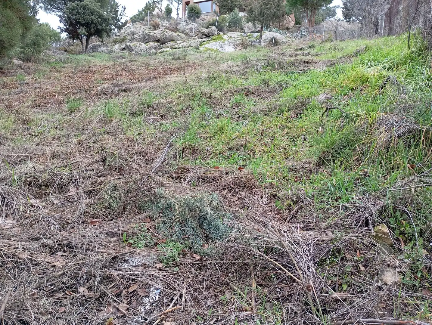 Terreni e lotti in vendita a Robledo de Chavela, imagen 17