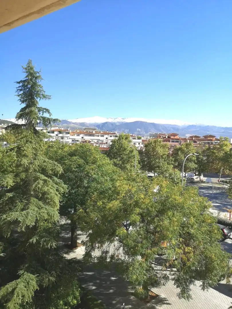 Vista exterior de Piso en venta en Granada con Aire acondicionado, Calefacción y Amueblado