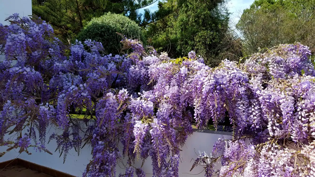 Jardí de Casa o xalet en venda en Alhaurín de la Torre amb Aire condicionat, Jardí privat i Terrassa