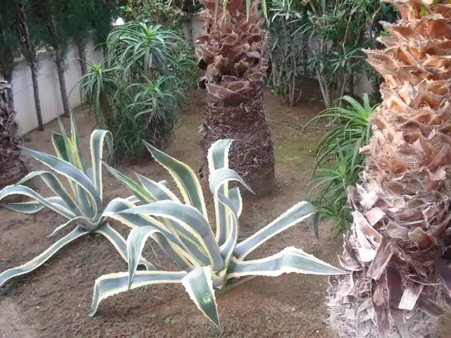 Terraced house for sale in Miami Platja, imagen 21
