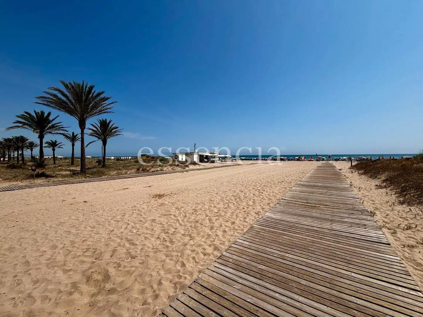 Vista exterior de Apartamento en venta en Gandia con Jardín privado, Terraza y Balcón