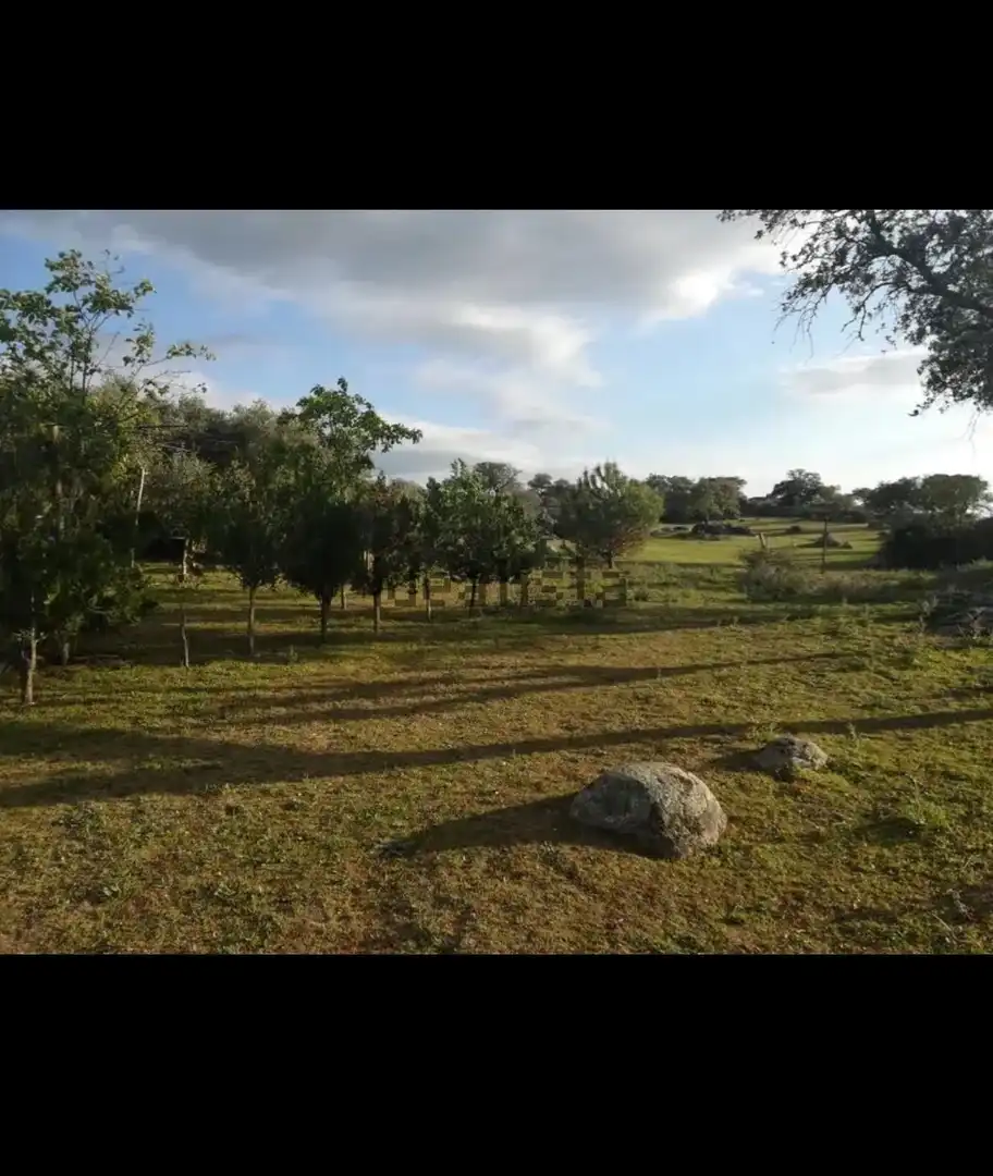 Finca rústica en venta en Villar del Rey