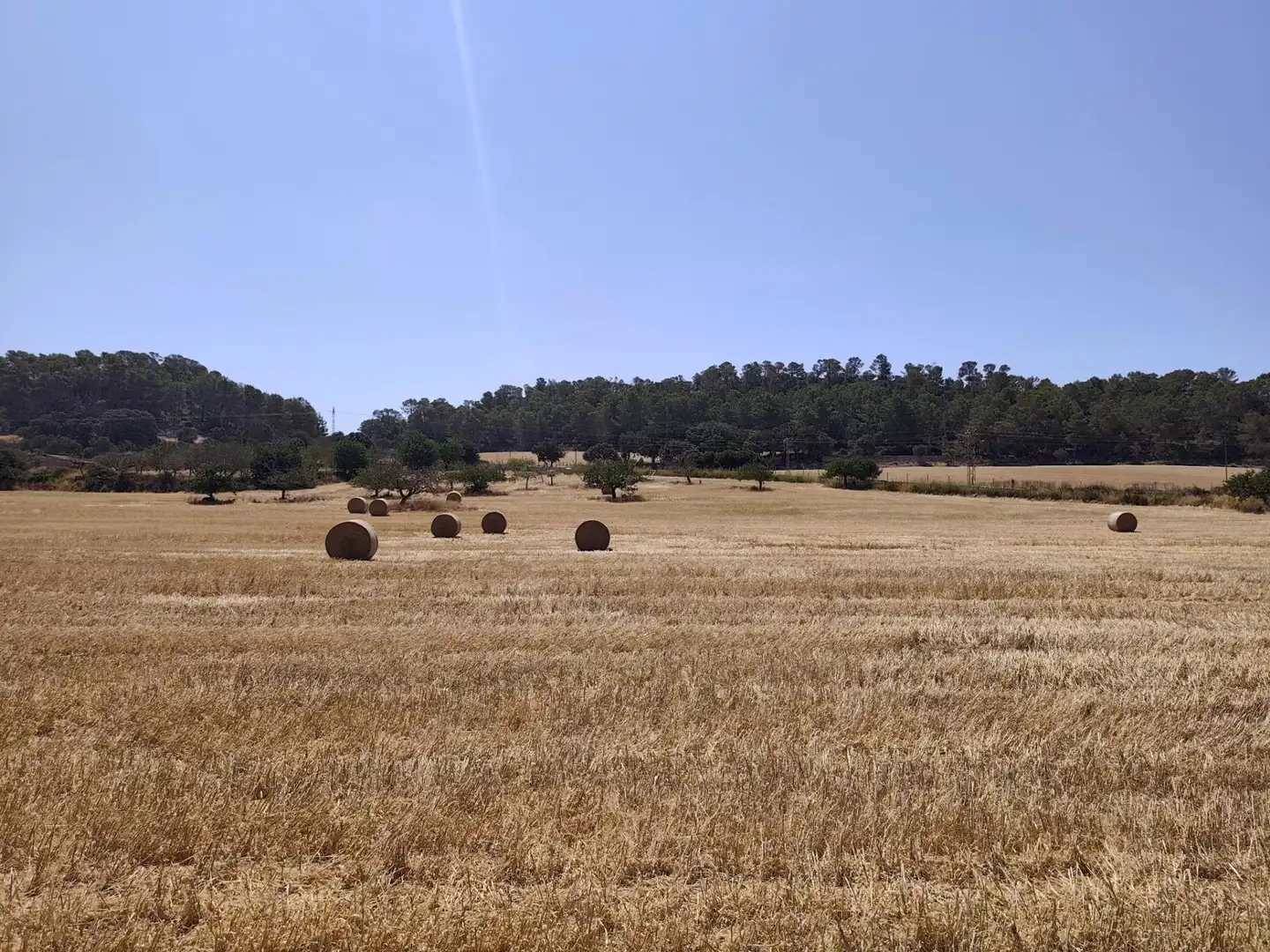 Terreno rústico en venta en Porreres