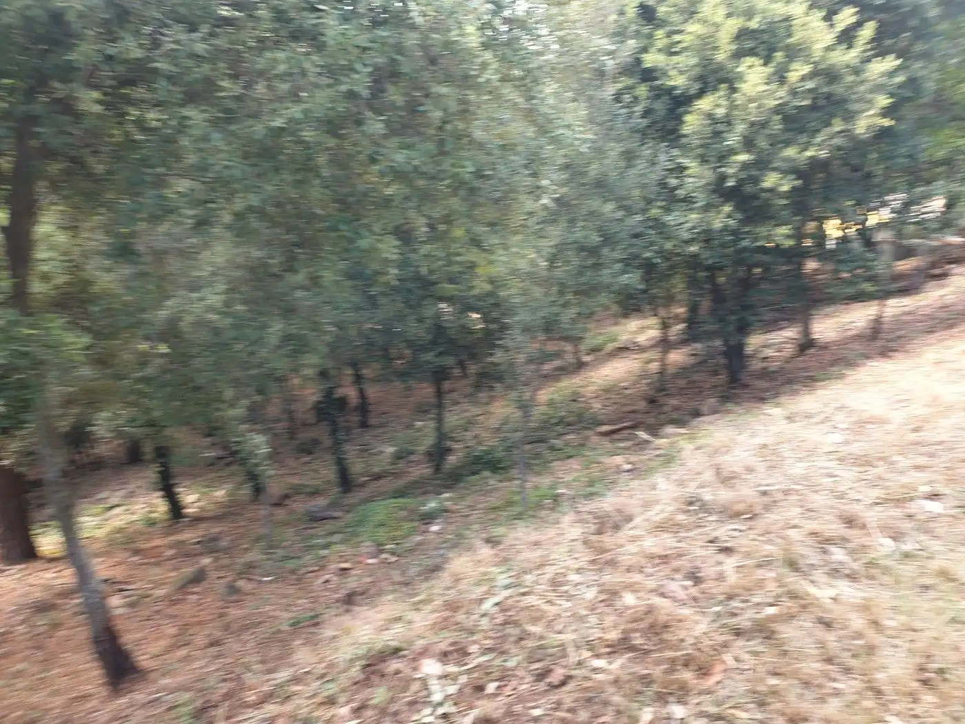 Terrain résidentiel à vendre à Matadepera, imagen 16