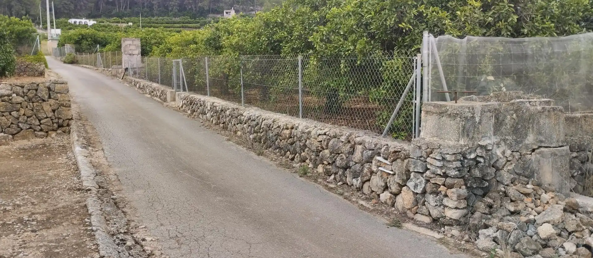 Rural land for sale in Pego, imagen 6
