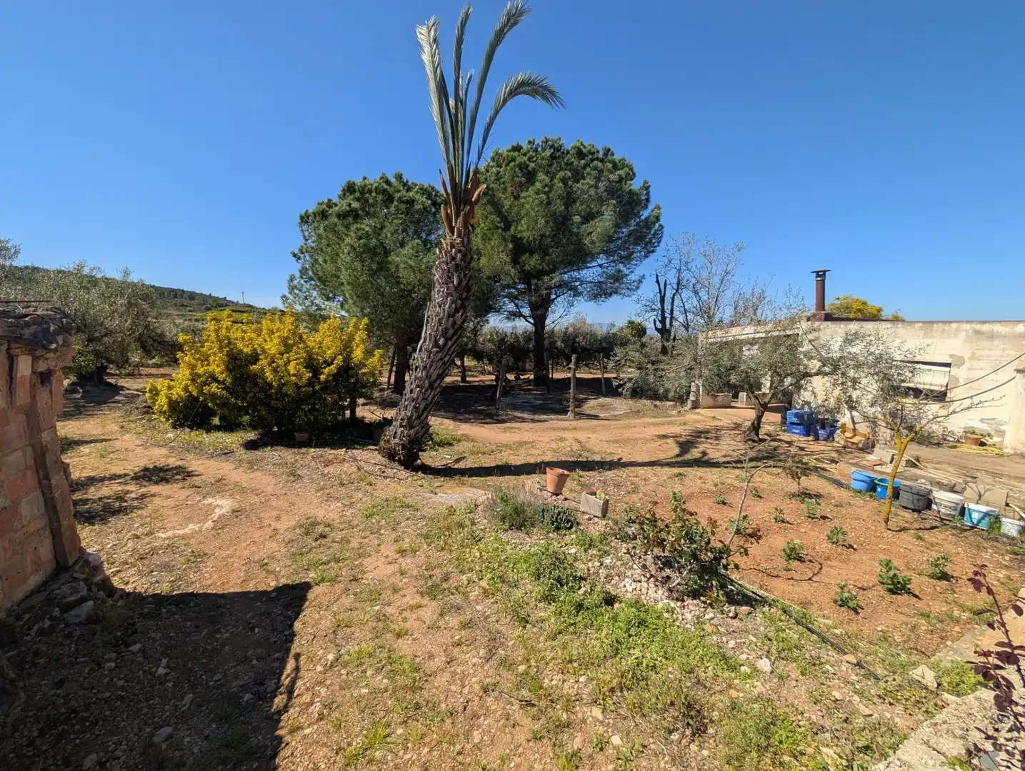 Grundstücke zum Verkauf in Ulldecona