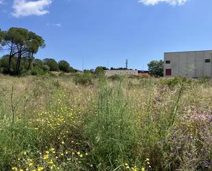 Terreny industrial en venda a  Carrer dels Boters, Eixample Residencial