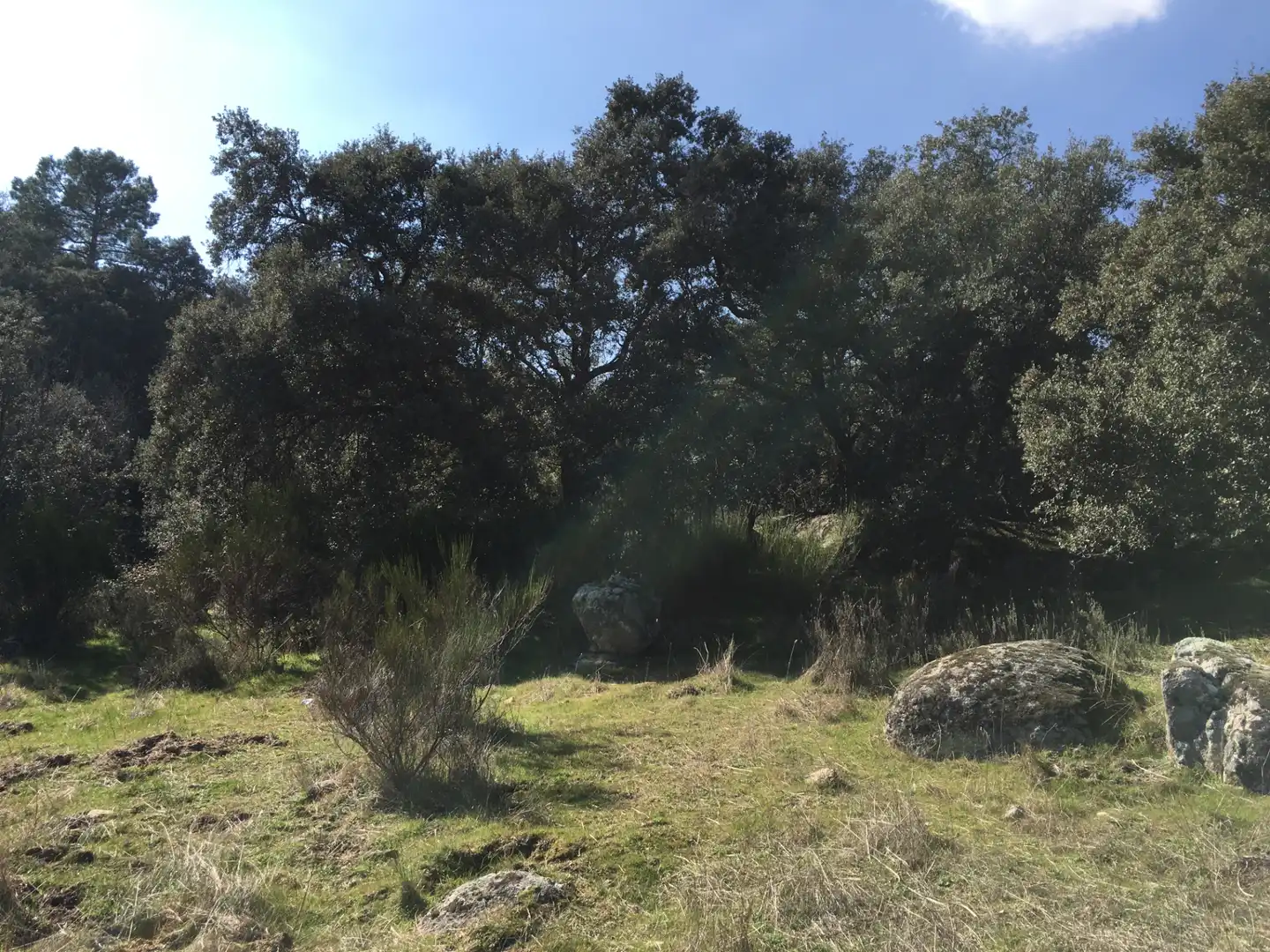Rural land for sale in Cadalso de los Vidrios, imagen 11