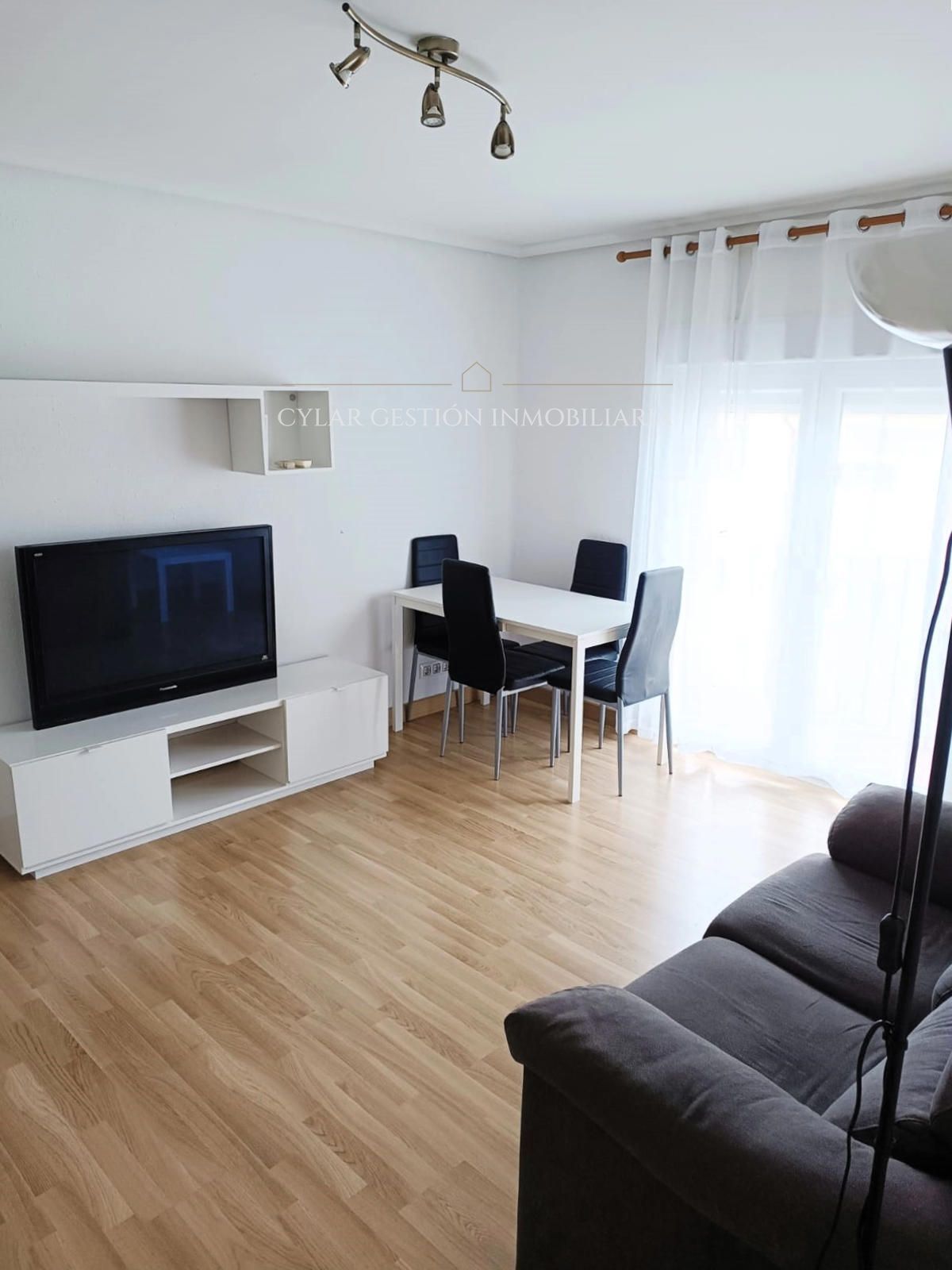 Sala d'estar de Pis de lloguer en Salamanca Capital amb Aire condicionat, Calefacció i Moblat