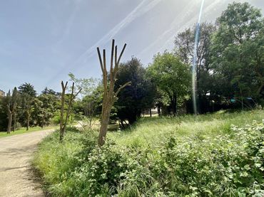Terreno residencial en venta en La Roca del Vallès