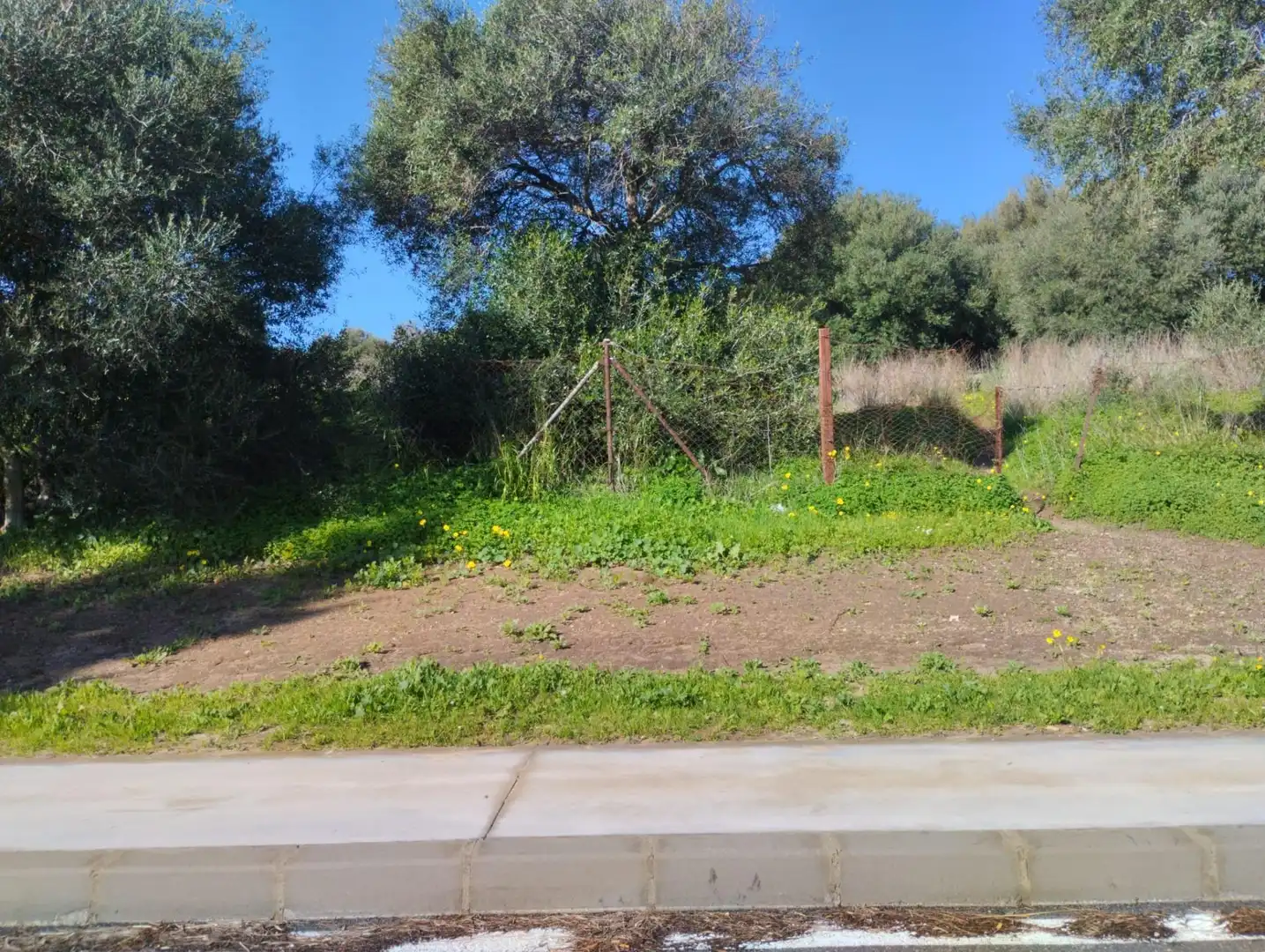 Terreni e lotti in vendita a Benalup-Casas Viejas, imagen 4