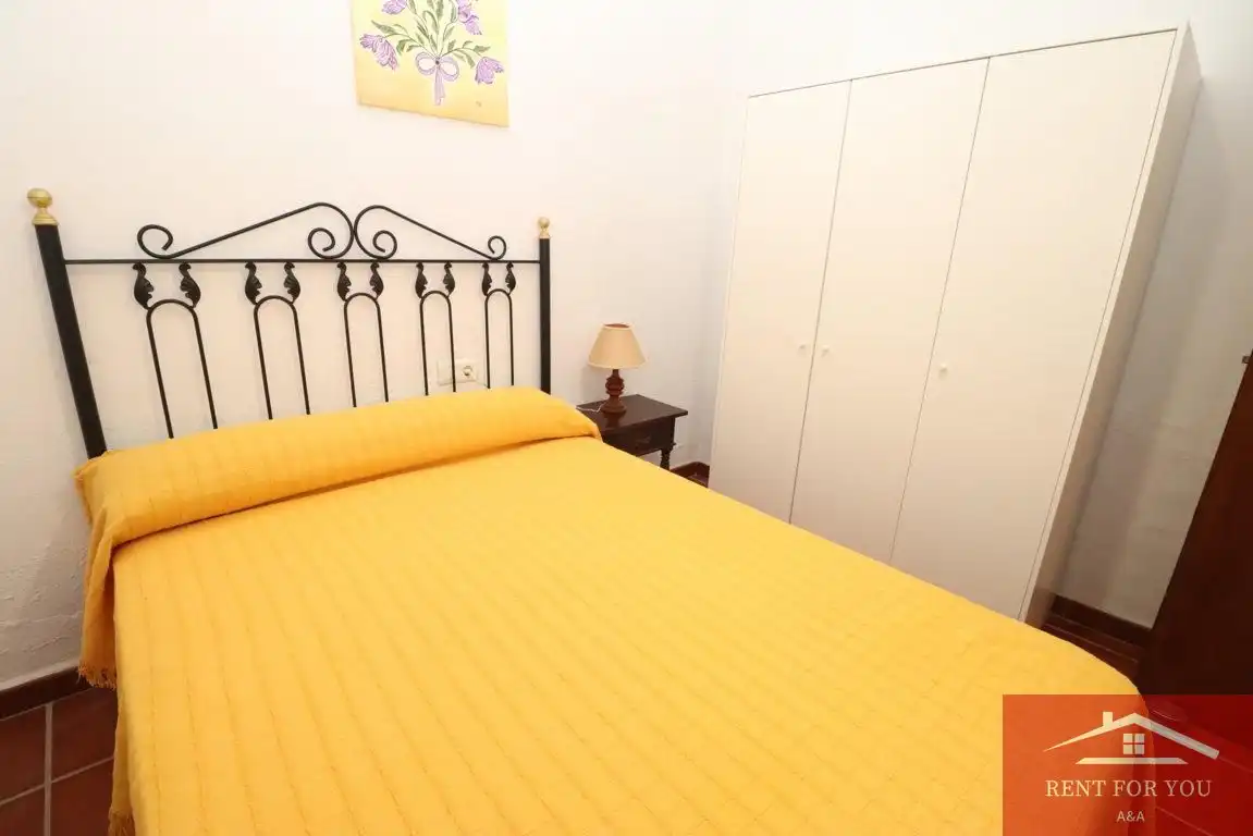Casa con piscina in affitto a Centro, imagen 40