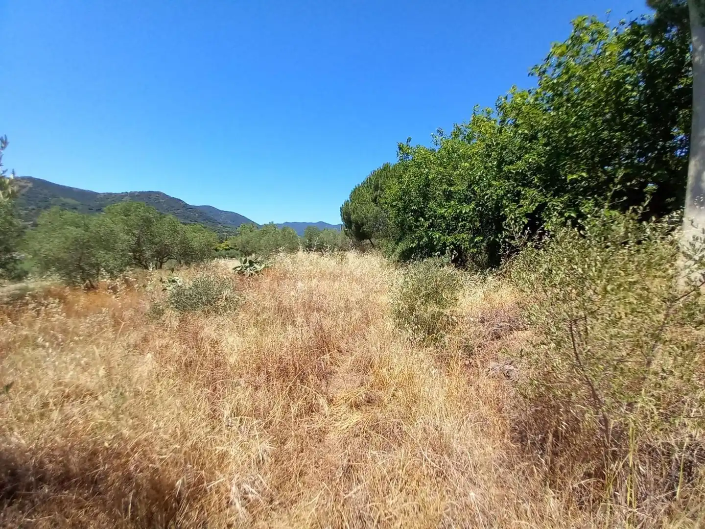 Terreno residencial en venta en Urbanitzacio Garrigots, imagen 21