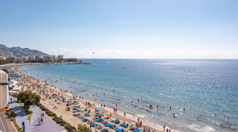 Photo 5 of Apartment for sale in Playa Poniente, Alicante