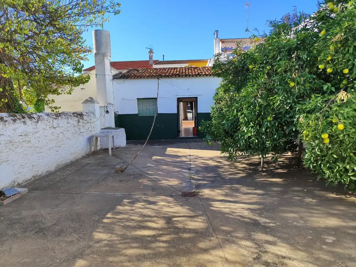 Exterior view of Houses for sale in San Bartolomé de la Torre  with Terrace